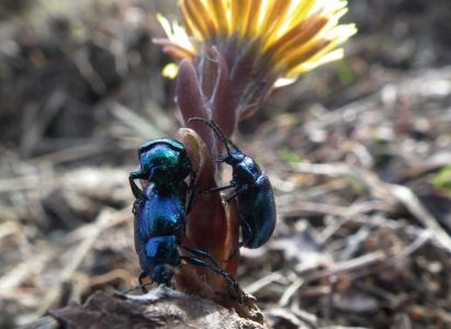 dscf2251.jpg