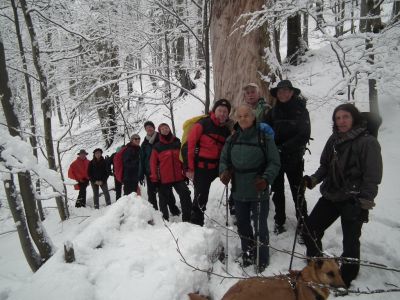 dscf2368.jpg