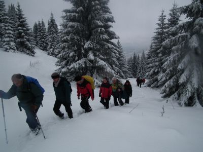 dscf2373-gebietsweise-40cm-frischen-schnee.jpg