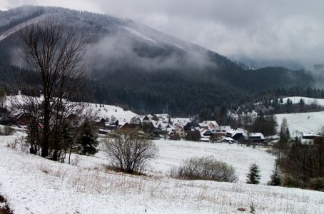 img_4622.jpg