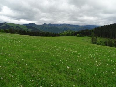 dsc00286.jpg
