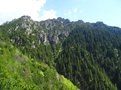 dsc00380.jpg