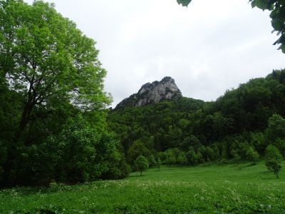 dsc00618.jpg
