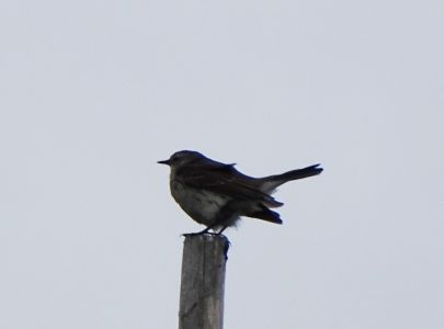 dsc00884.jpg