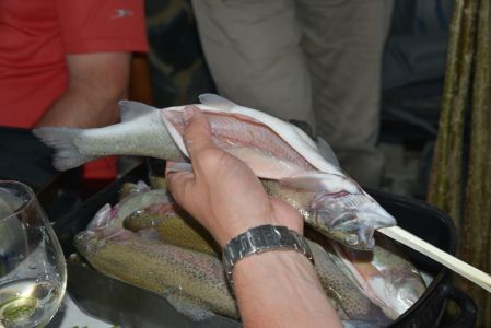 d8a_2092.jpg