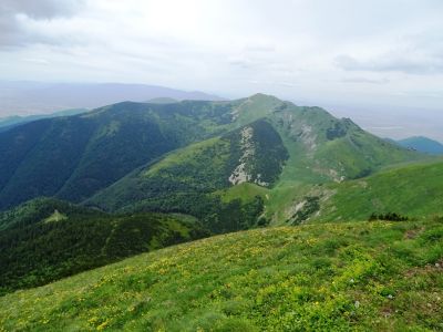 dsc01318.jpg