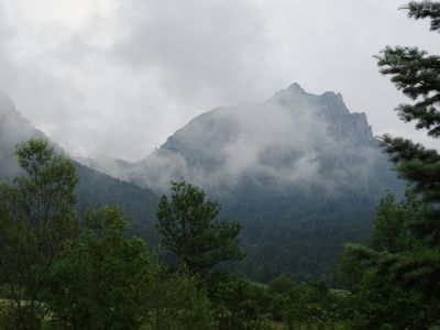 dsc01431.jpg