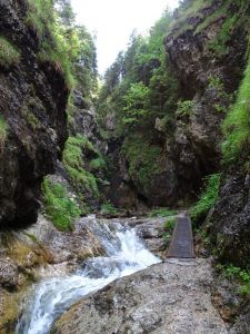 dsc01622.jpg