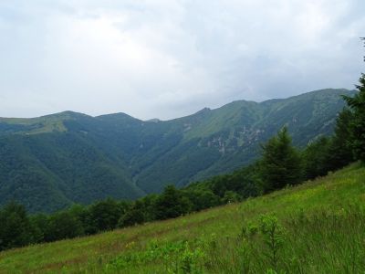 dsc01860.jpg