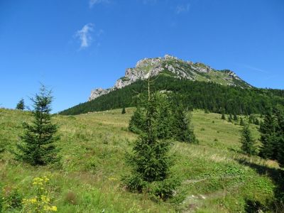 dsc02606.jpg