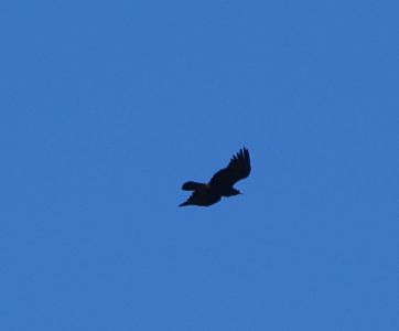 dsc03625.jpg