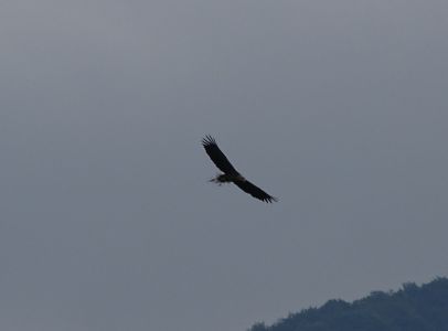 dsc03640.jpg