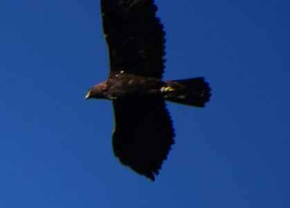 dsc03998.jpg