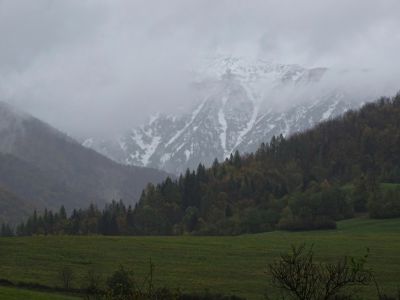 dsc04032.jpg