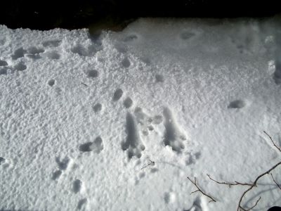 dscf2691.jpg