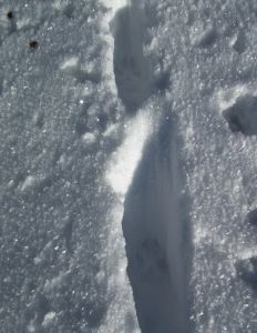 dscf2751.jpg