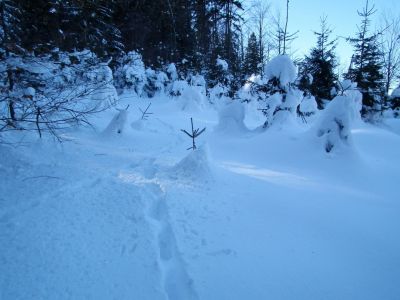 dscf2758.jpg