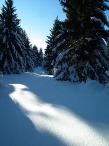 dscf2762.jpg