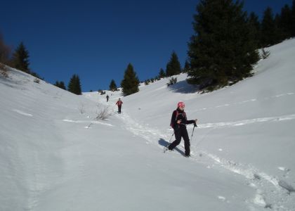 dscf2771.jpg