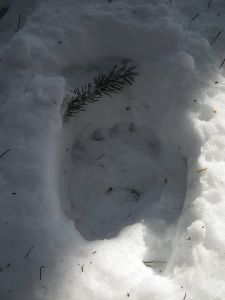 dscf2813-brenspur.jpg