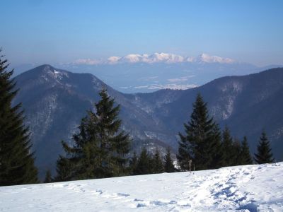 dscf2855.jpg