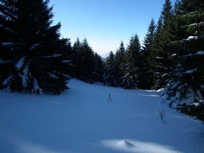 dscf2858.jpg
