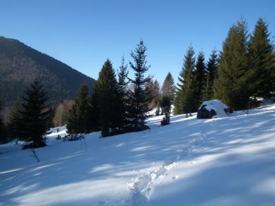dscf2866.jpg