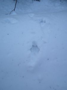dscf2903.jpg