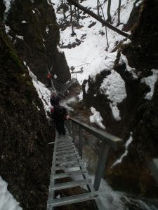 dscf2973.jpg