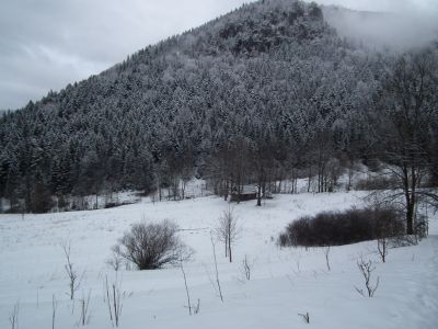 dscf2986.jpg