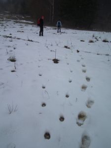 dscf3008.jpg