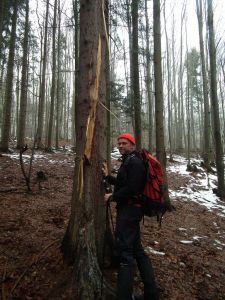 dscf3021-brmarkierbaum.jpg