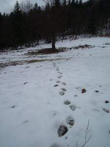 dscf3032.jpg