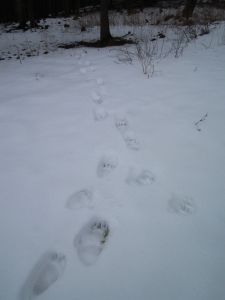 dscf3039.jpg