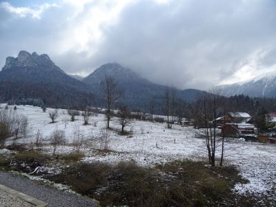 dsc08564.jpg