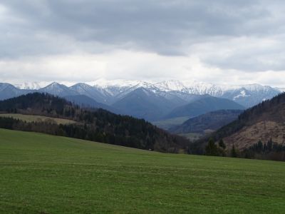 dsc08576.jpg