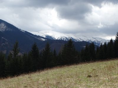 dsc08598.jpg