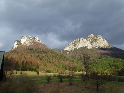 dsc08607.jpg