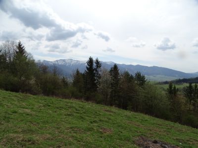 dsc08766.jpg