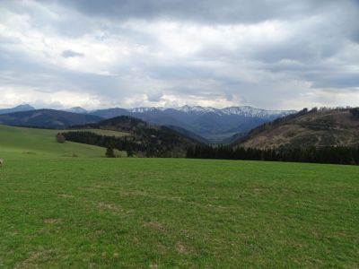 dsc08785.jpg