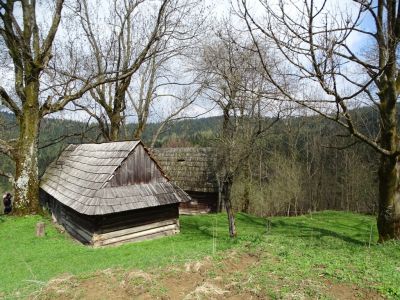 dsc08854.jpg