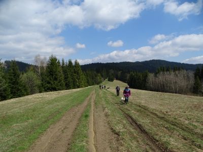 dsc08859.jpg
