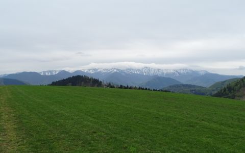 dsc08960.jpg