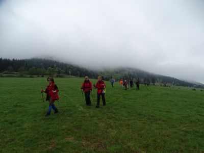dsc08980.jpg