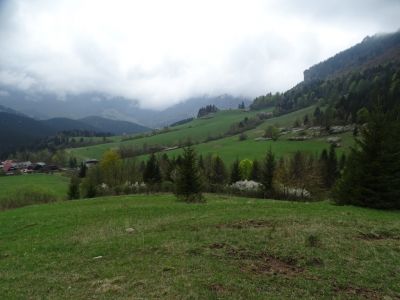 dsc08995.jpg