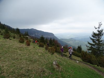 dsc09104.jpg