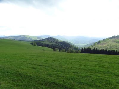 dsc09256_0.jpg