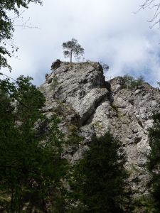dsc09282_0.jpg