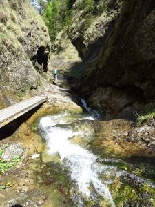 dsc09288_0.jpg