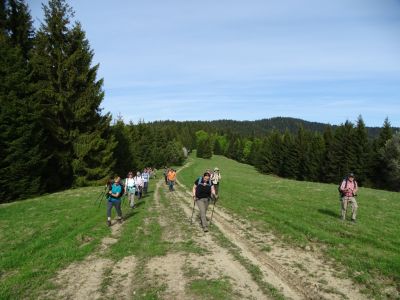 dsc09359_0.jpg